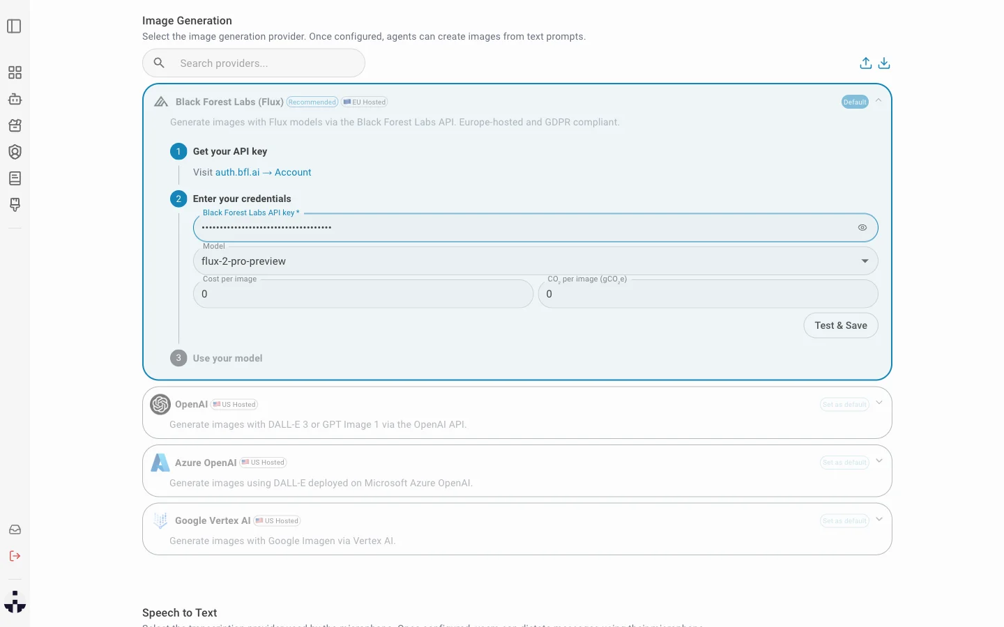 API key entered, ready to test
