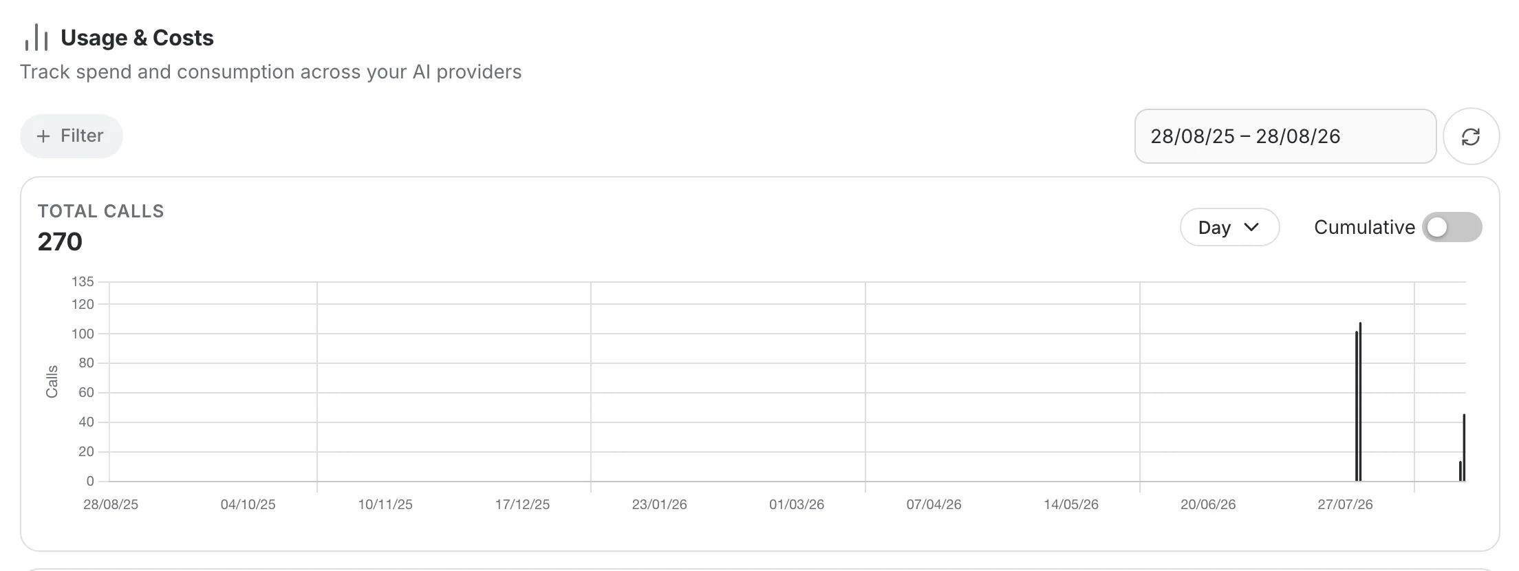 The Usage & Costs page with the filter bar and the Total Calls card for the selected period