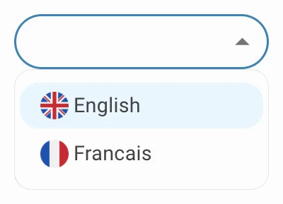 search interface